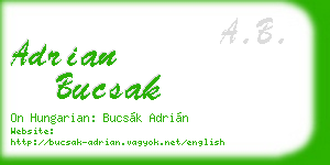 adrian bucsak business card