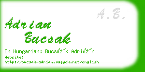 adrian bucsak business card